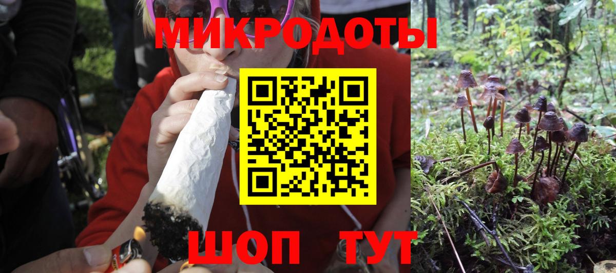 Черногорск  Псилоцибиновые грибы Magic Shrooms  Вход с VPN 