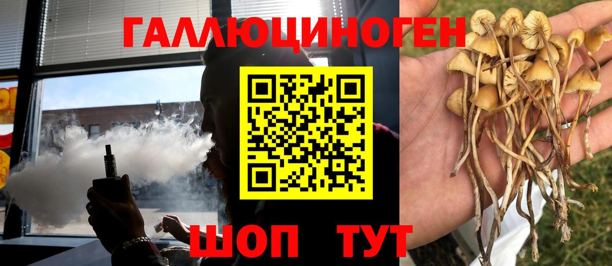Псилоцибиновые грибы мицелий Черногорск
